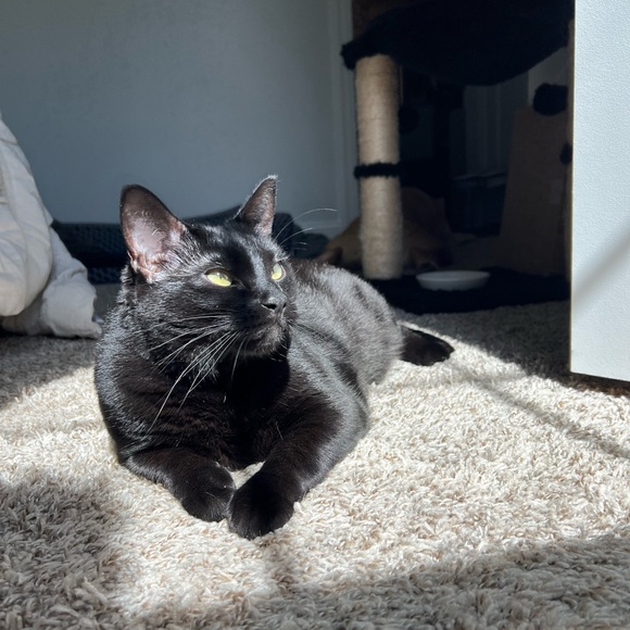 Meet your Posher, Stef๐ - Picture 3 of 11